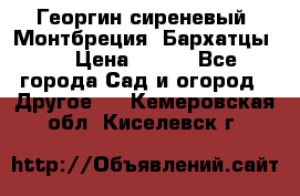 Георгин сиреневый. Монтбреция. Бархатцы.  › Цена ­ 100 - Все города Сад и огород » Другое   . Кемеровская обл.,Киселевск г.